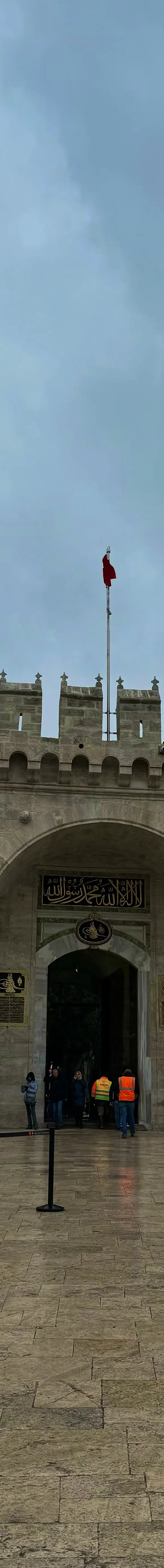IMG 0491
