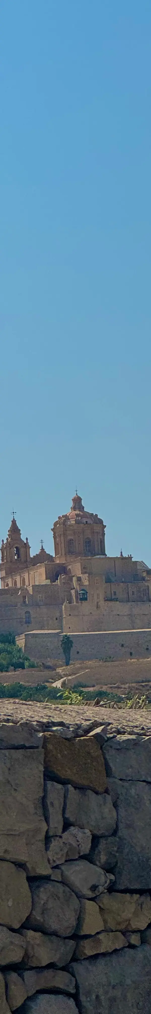 IMG 7824